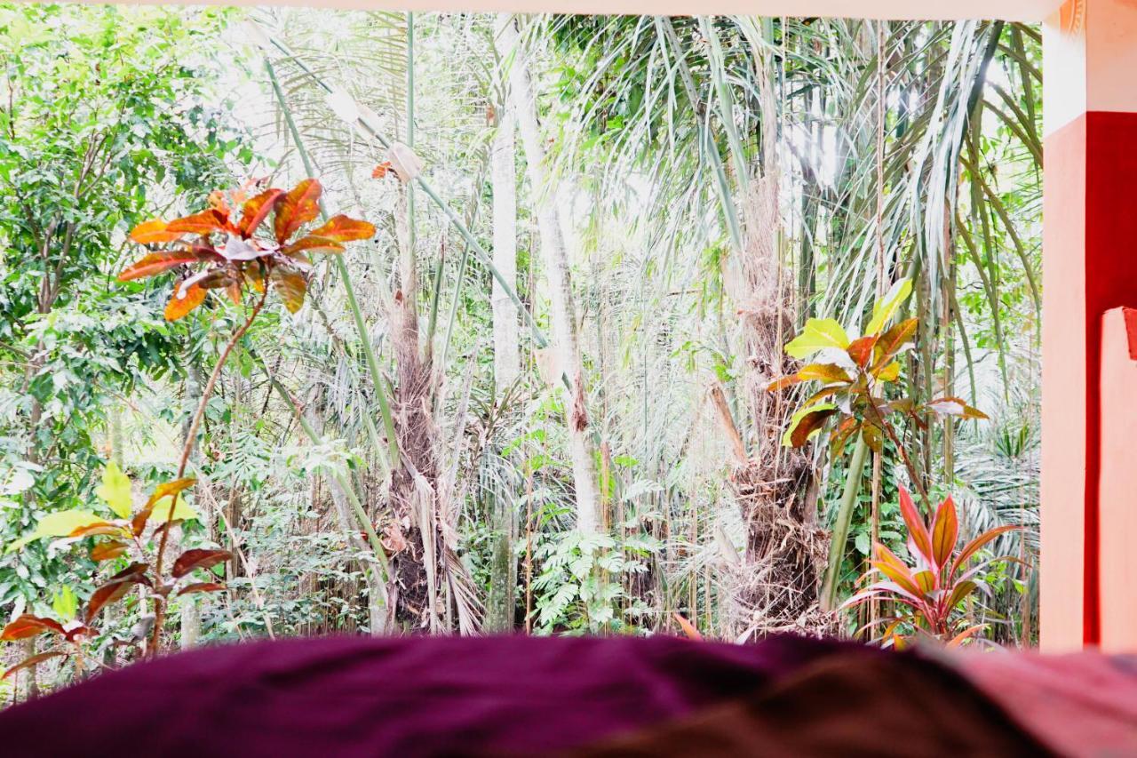 Shanti Toya Ashram Mambat Zewnętrze zdjęcie